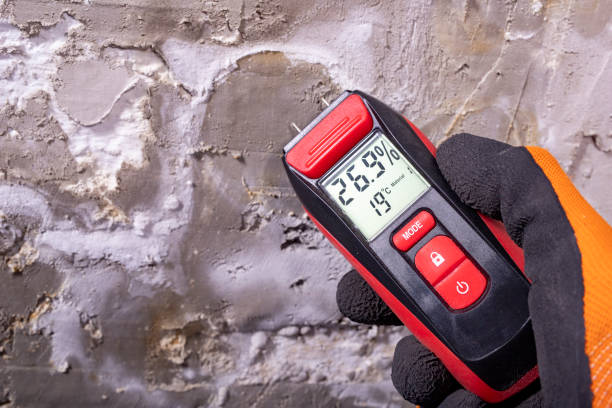 Best Mold Testing and Inspection Services in Eupora, MS